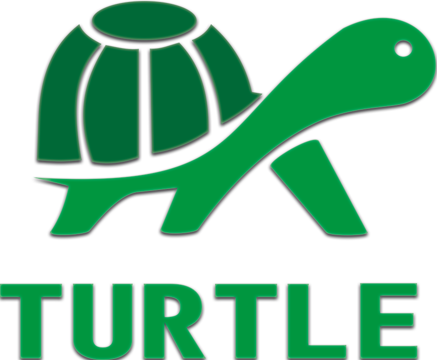 TURTLE For KIDS